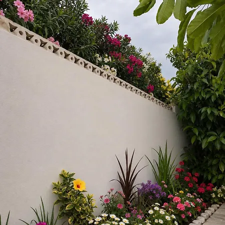 Casa, Chalet, Piscina, Barbacoa Puerto de la Cruz (Tenerife)